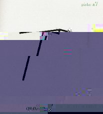 Rapport_Inter._R__so2