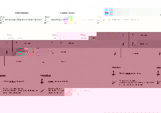 Rapport_Inter._R__so4